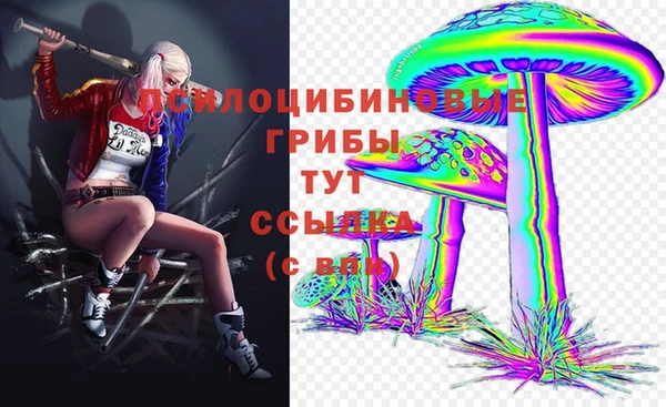 ECSTASY Баксан