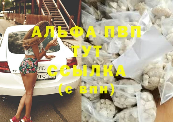прущие грибы Переславль-Залесский