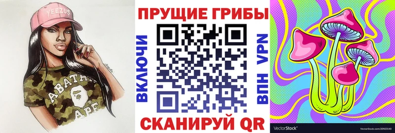 darknet какой сайт МЕГА ссылка Эртиль Галлюциногенные грибы Psilocybine cubensis